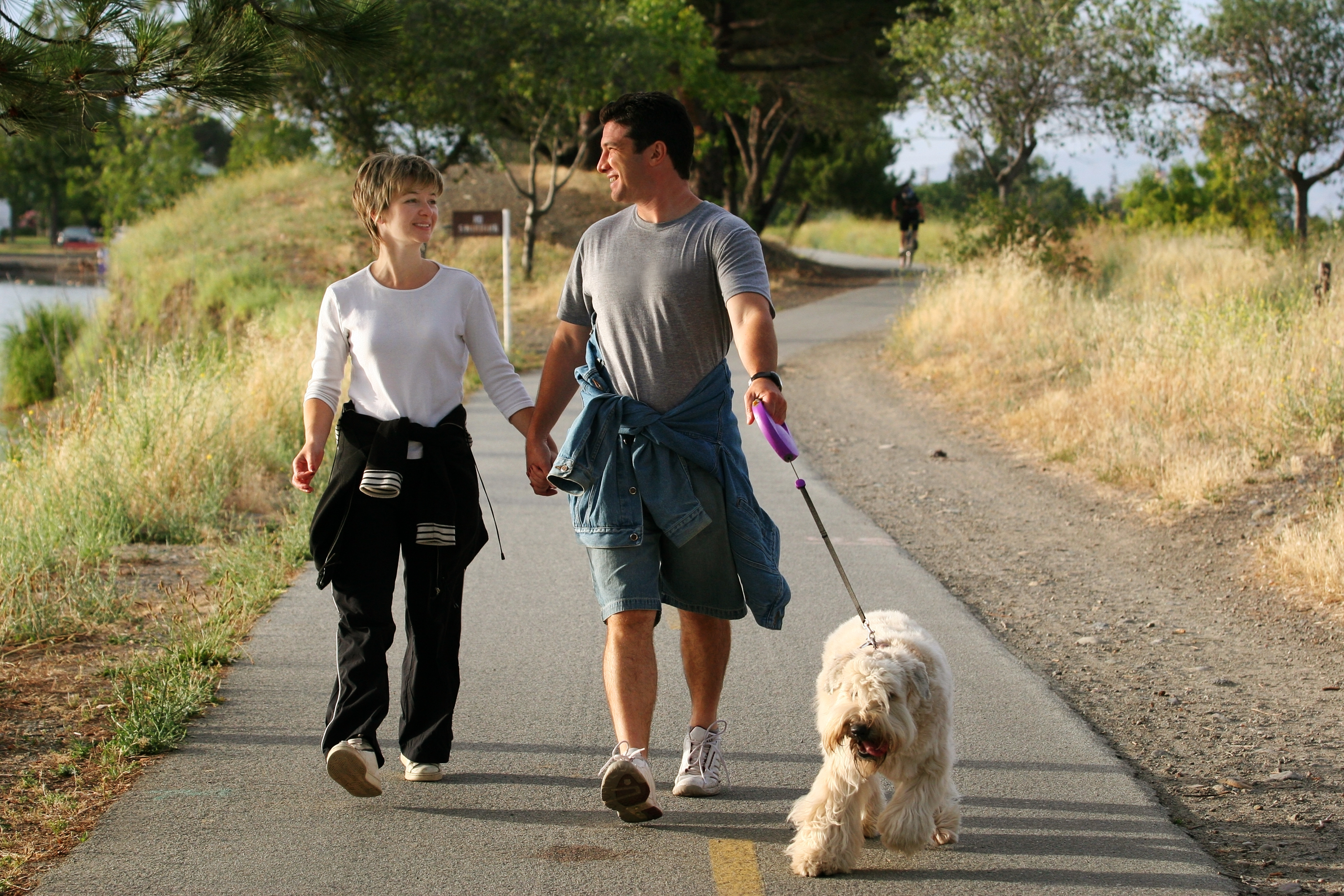 bigstockphoto_Couple_Walking_Their_Dog_126995.jpg